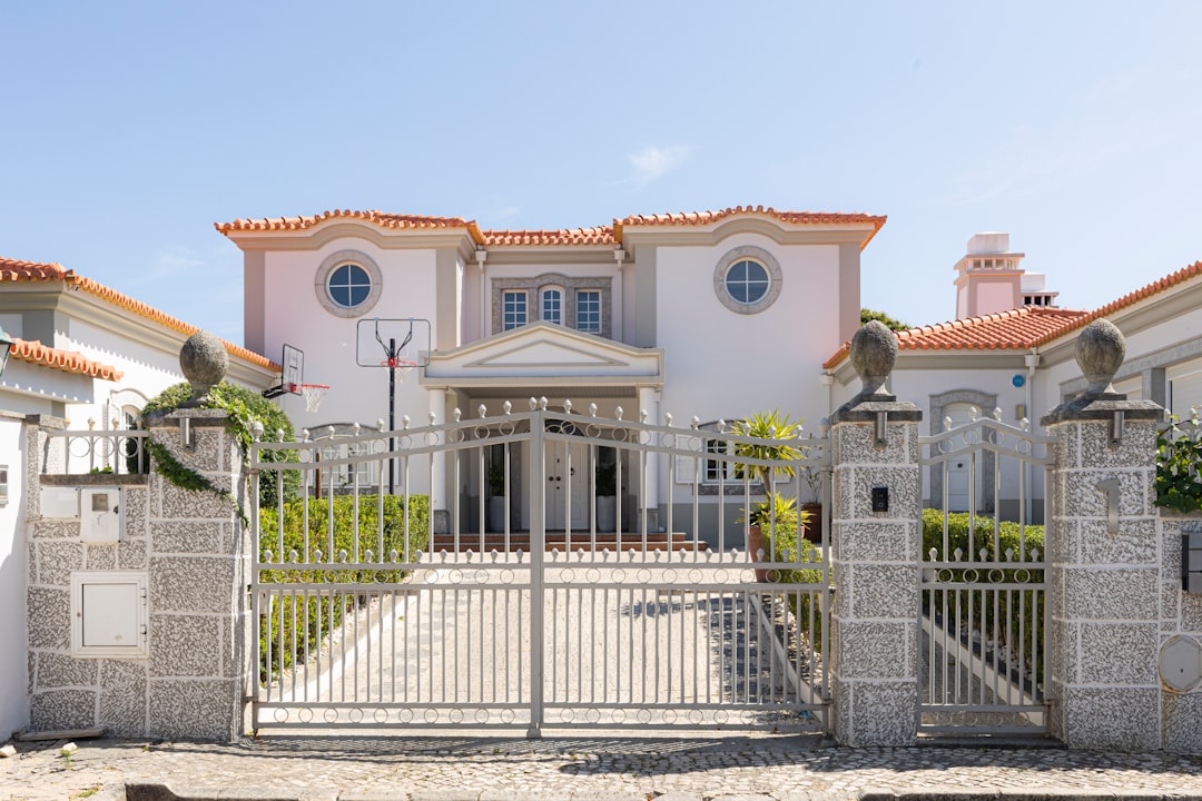 대출/금리 정보