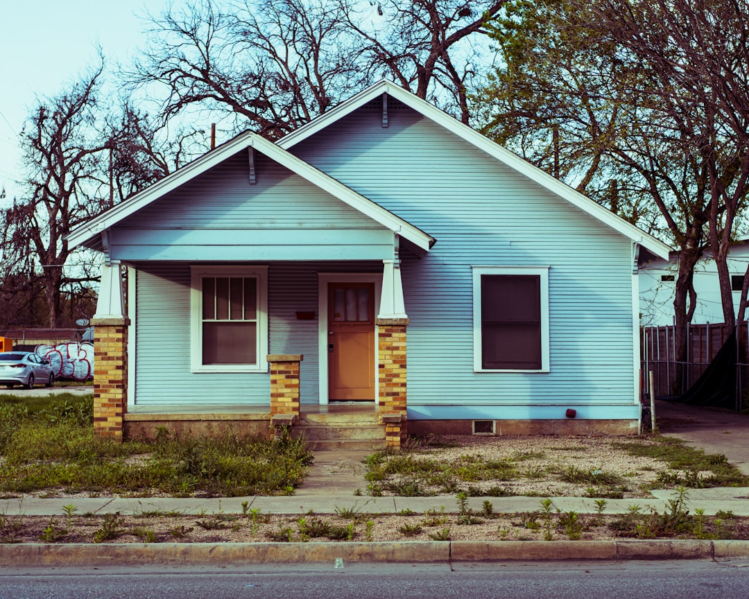 보험약관대출 활용법 가이드