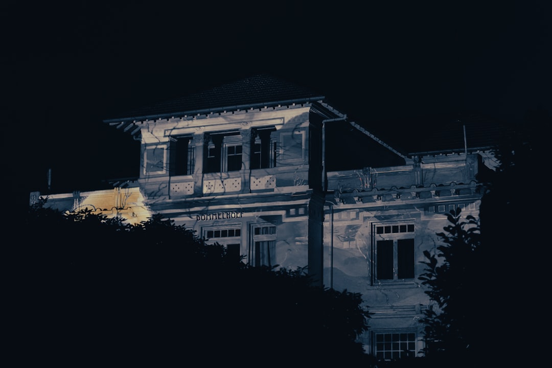 보험약관대출 활용법 가이드