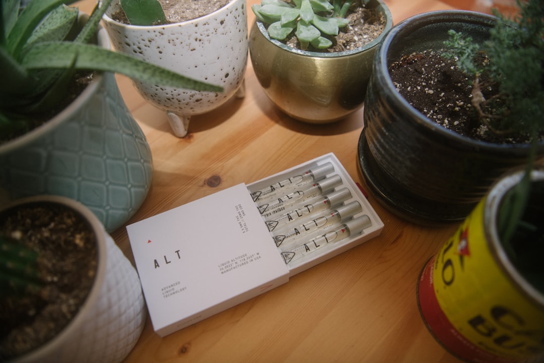 대출/금리 정보