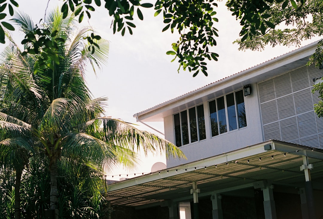 대출/금리 정보