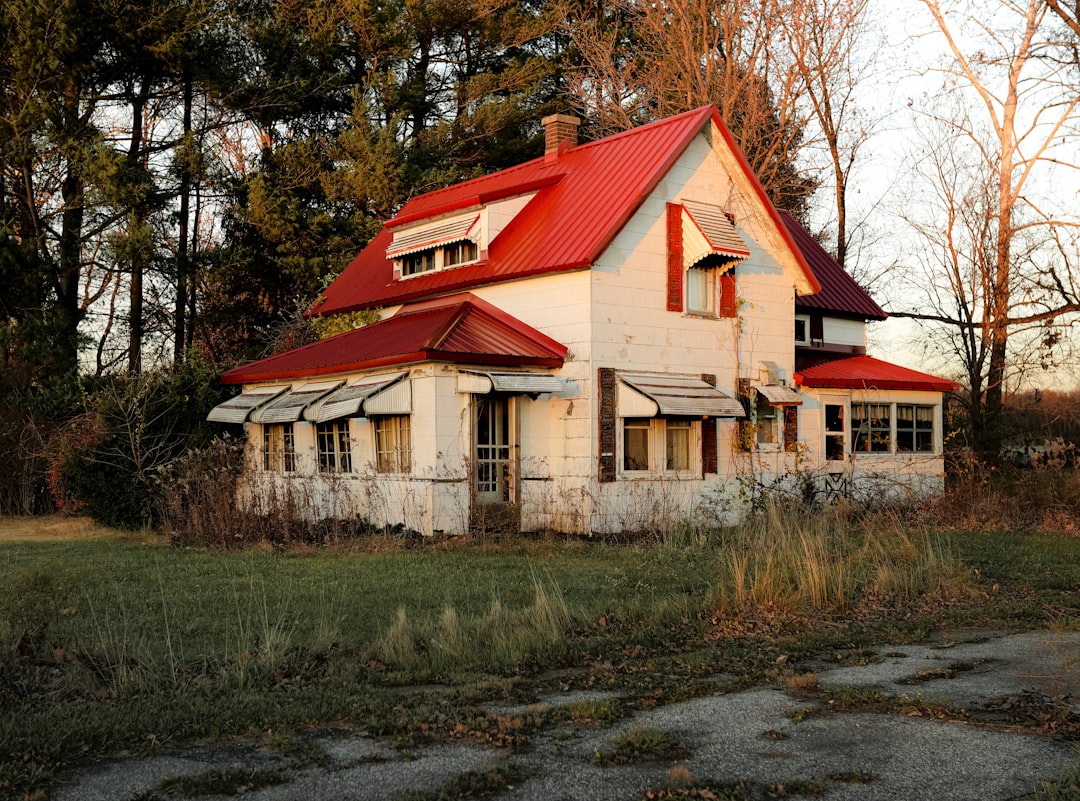 대출/금리 정보