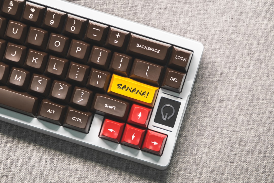 대출/금리 정보