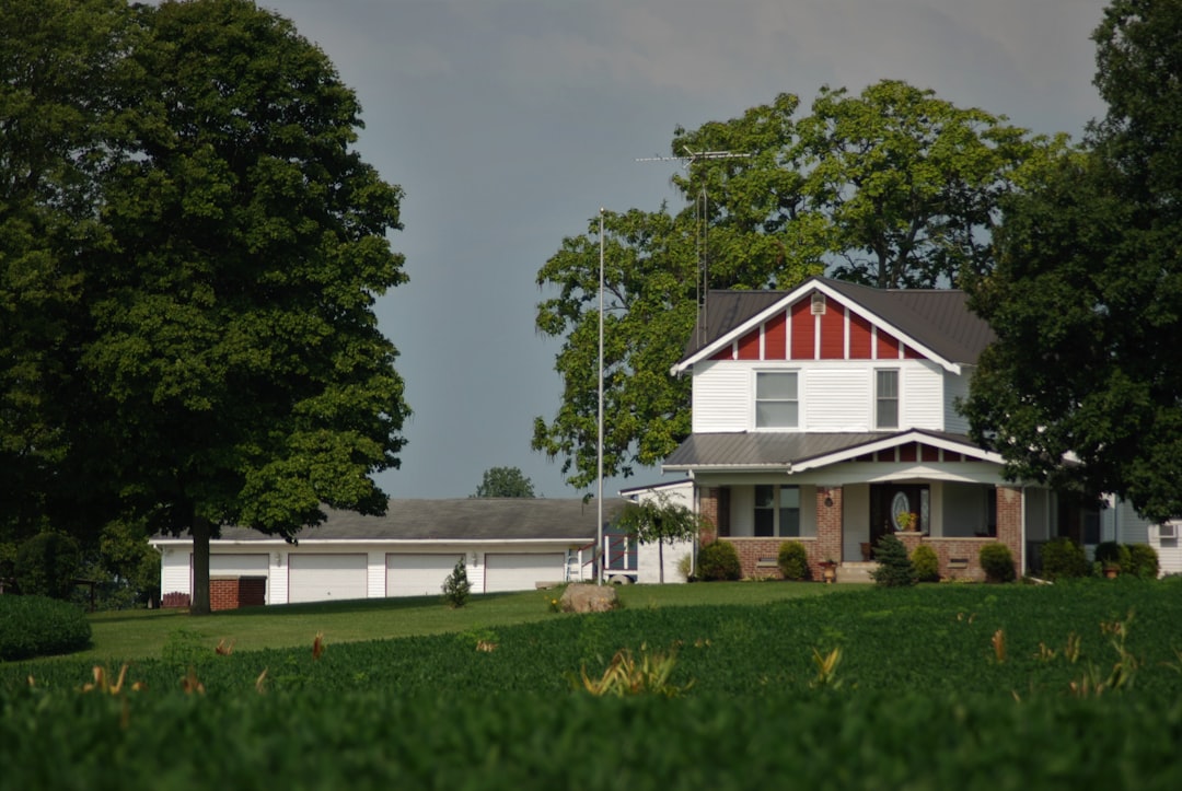 대출/금리 정보