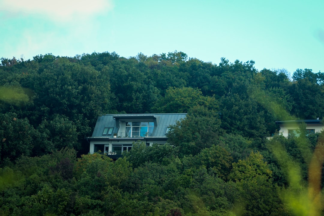 사잇돌대출 조건 가이드