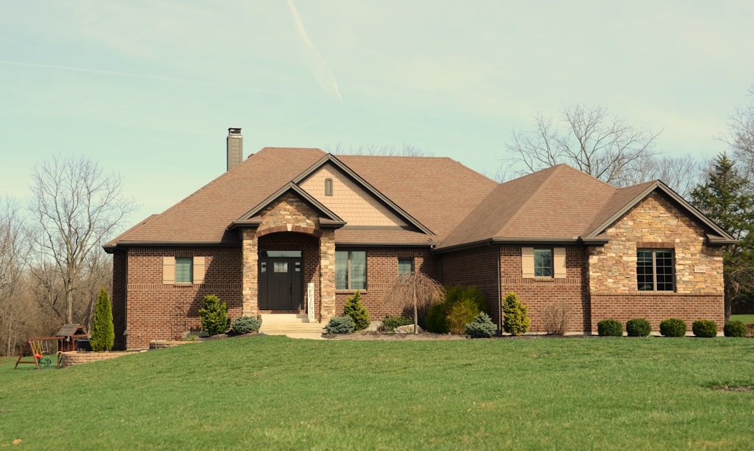 대출/금리 정보