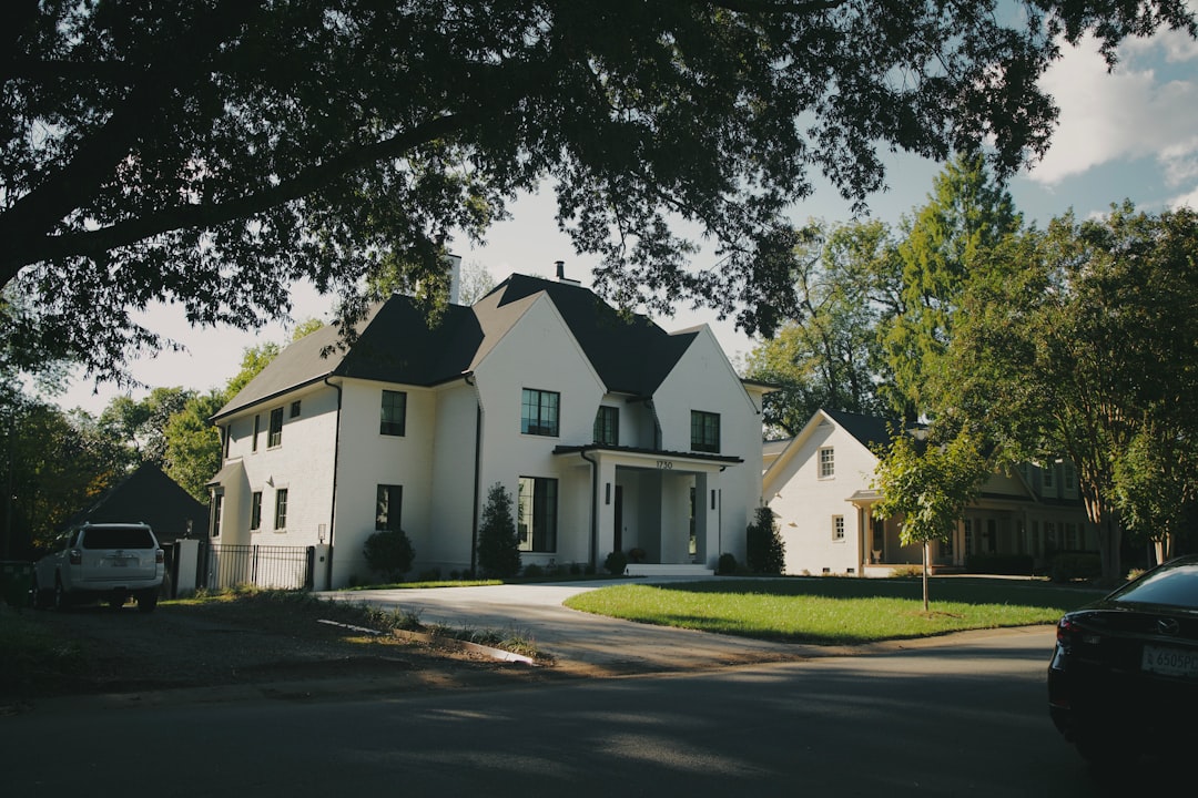 대출/금리 정보