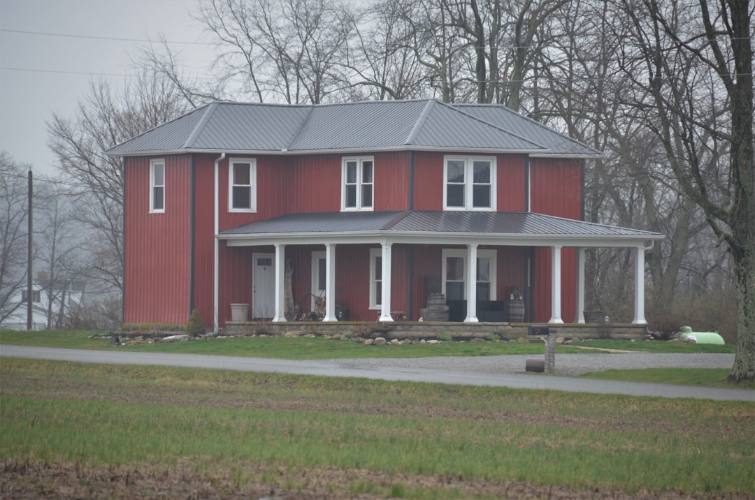 대출/금리 정보