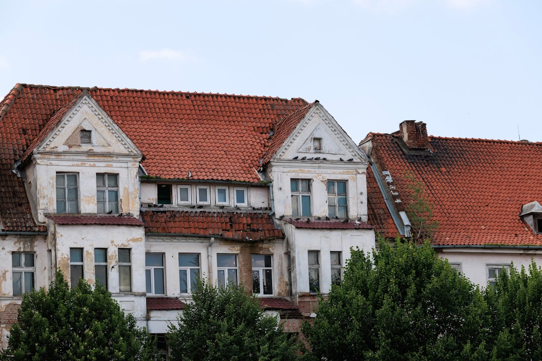 카드론 금리 비교 가이드