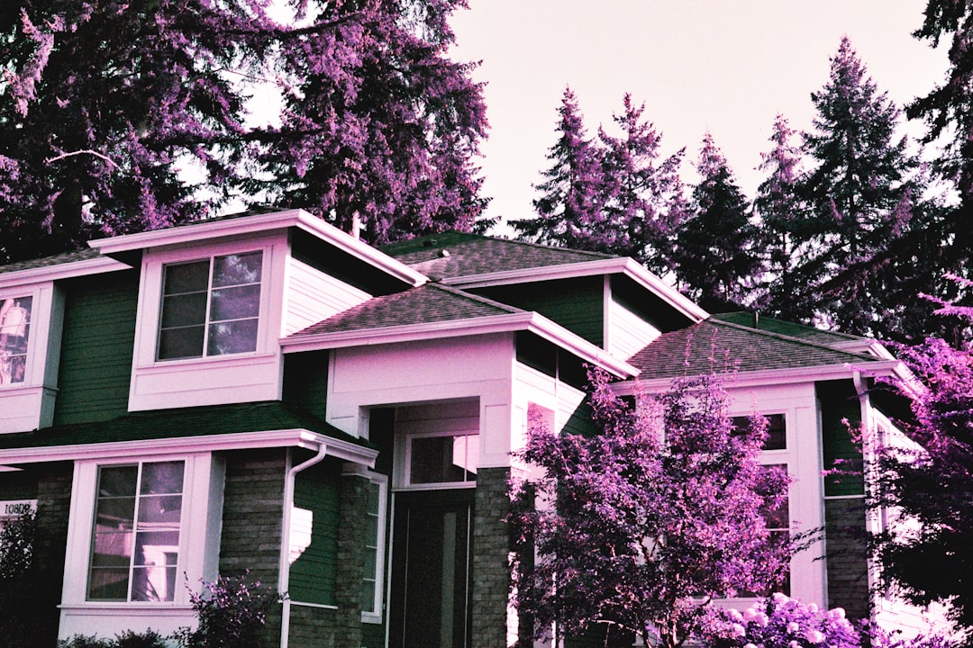 대출/금리 정보